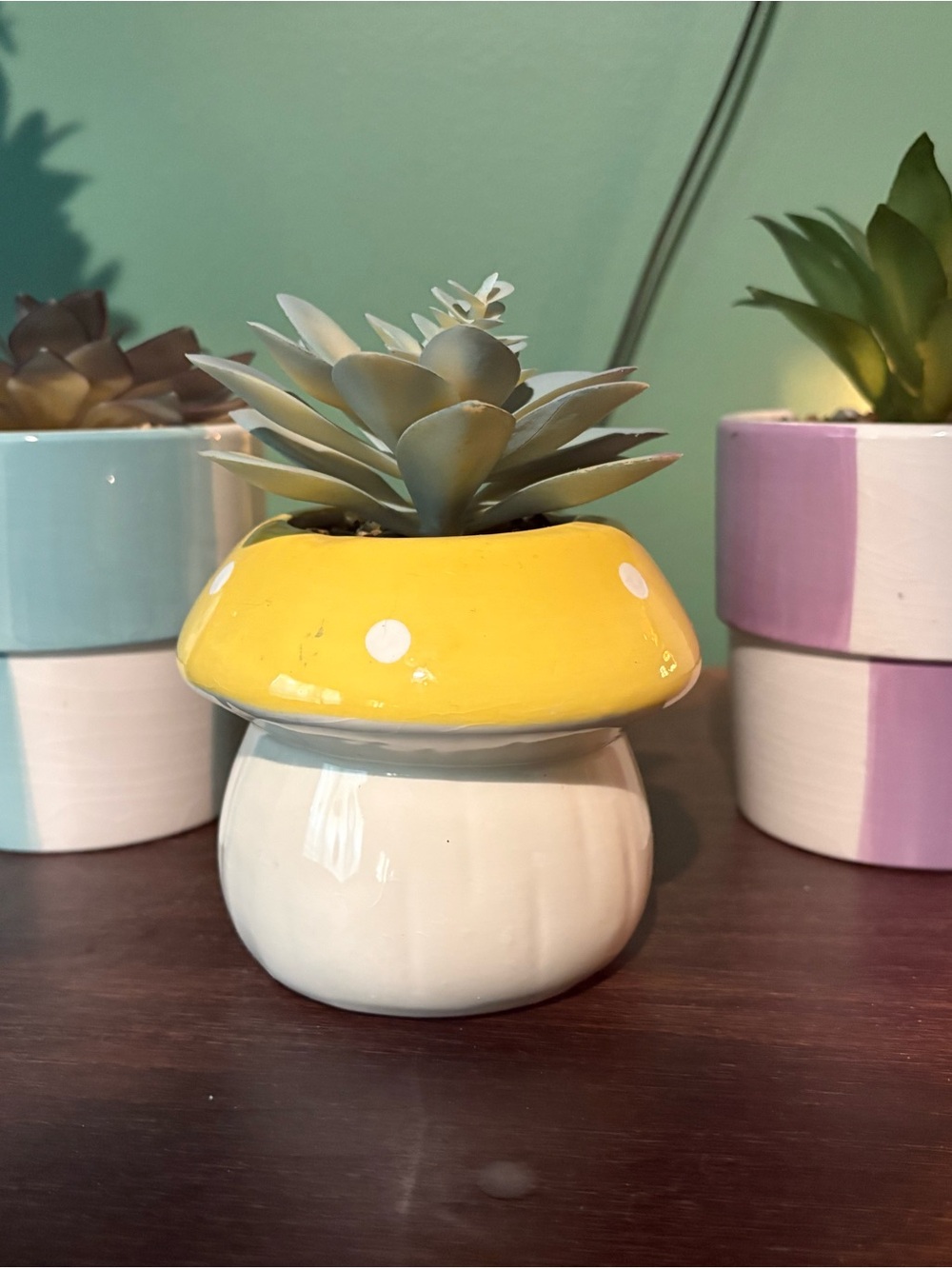 3 Ceramic Succulent Planter Bundle